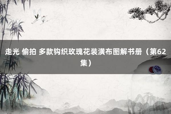 走光 偷拍 多款钩织玫瑰花装潢布图解书册（第62集）