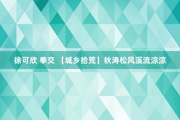 徐可欣 拳交 【城乡拾荒】秋涛松风溪流淙淙